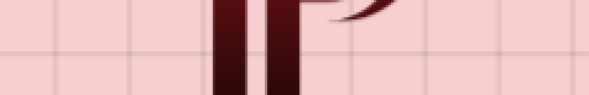 Company Banner